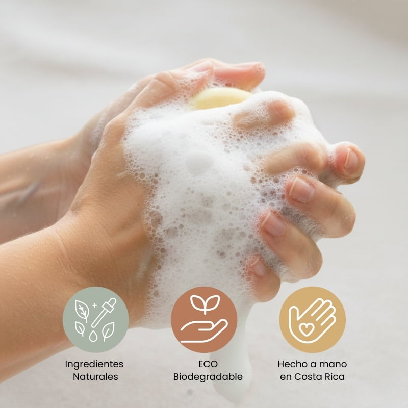 Shampoo en Barra de Manzanilla |Aclarante Natural y Brillo Radiante - Ara Jabones