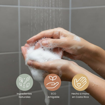 Shampoo Sólido de Lavanda | Repara - Ara Jabones